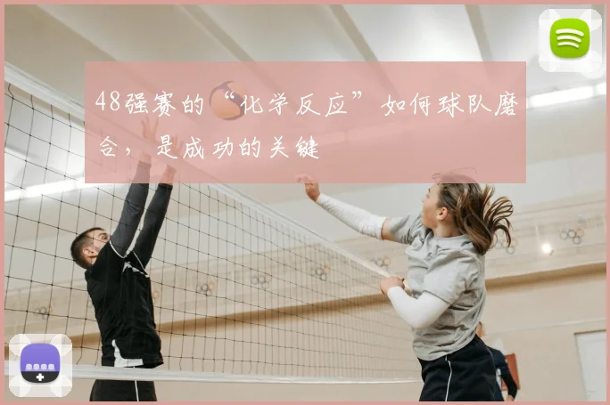 48强赛的“化学反应”如何球队磨合,是成功的关键