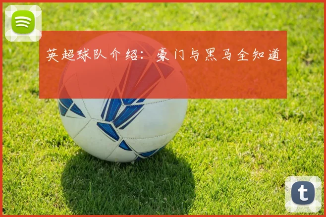 英超球队介绍：豪门与黑马全知道