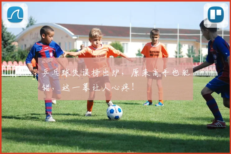 乒乓球失误榜出炉,原来高手也犯错,这一幕让人心疼!