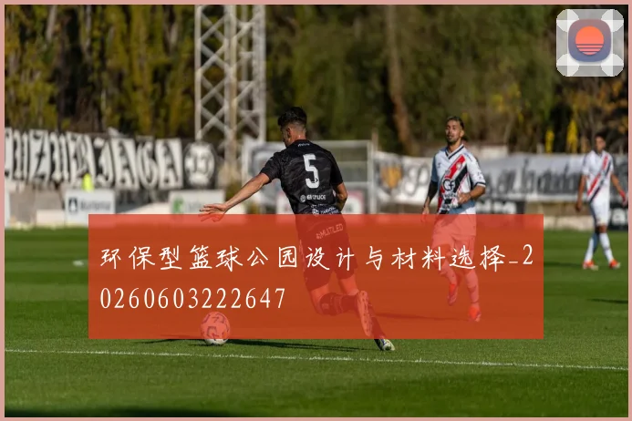 环保型篮球公园设计与材料选择_20260603222647